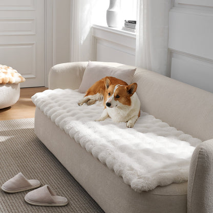 Dog lying on a cream white couch cover on a white couch in a bright room.#color_Cream White