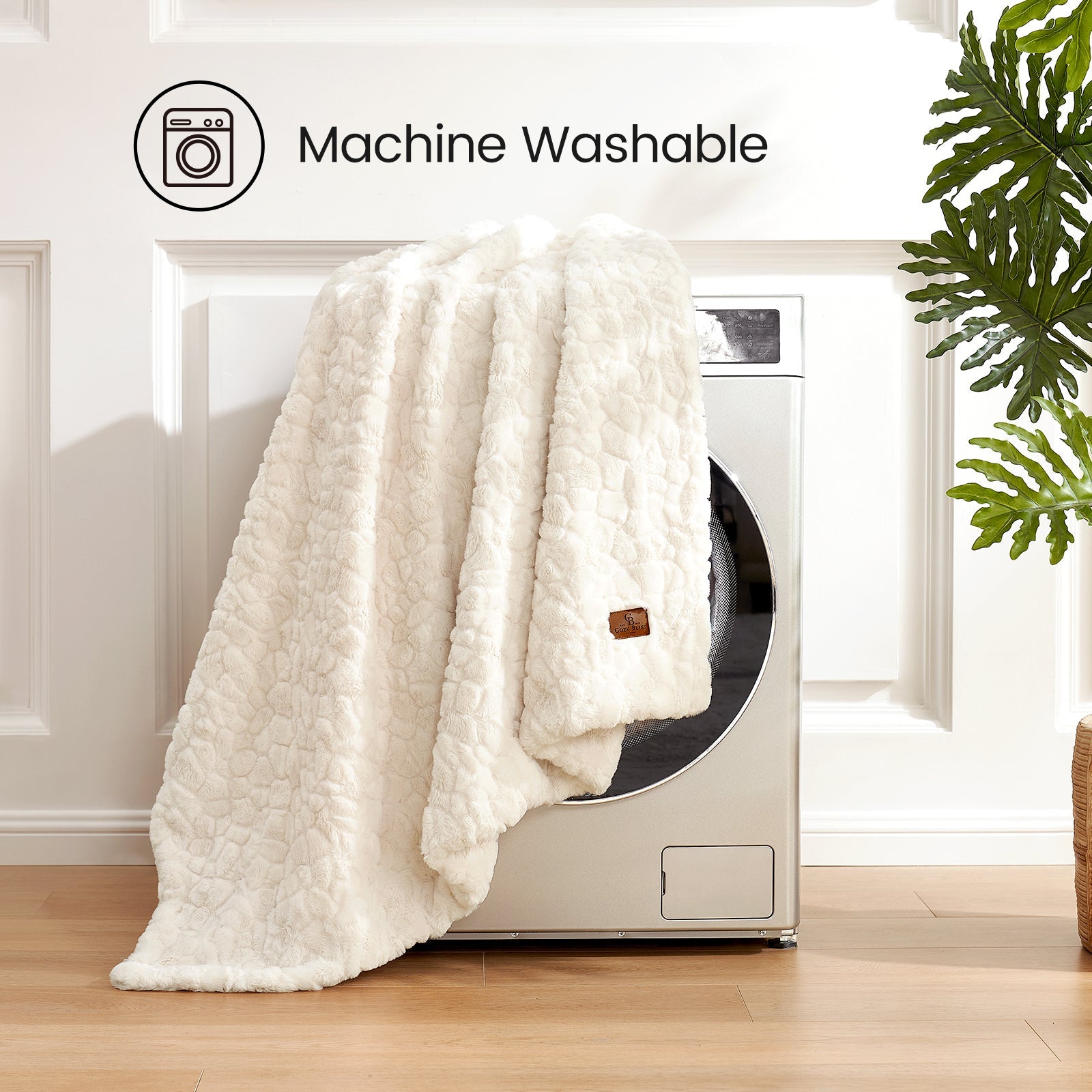 #color_Cream White