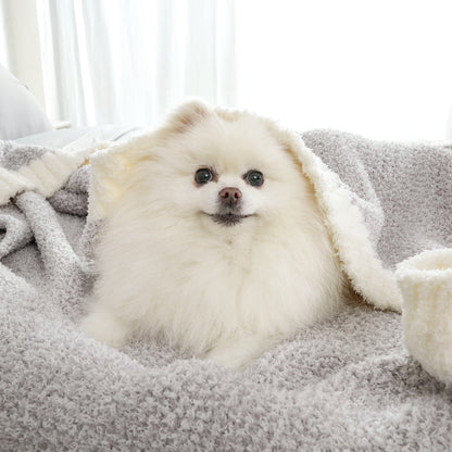 Small dog wrapped in a Heather Feather Yarn Throw Blanket in Grey, highlighting its ultra soft, pet-friendly and snuggle-ready comfort. #color_Grey