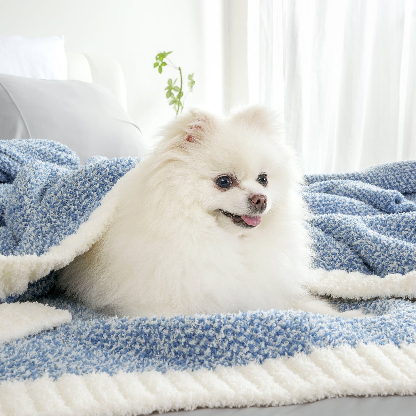 Small dog wrapped in a Heather Feather Yarn Throw Blanket in pale blue, highlighting its ultra soft, pet-friendly and snuggle-ready comfort.  #Color_Pale Blue