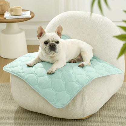 Dog lying on a green pet mat on sofa.#Color_Light Mint Green