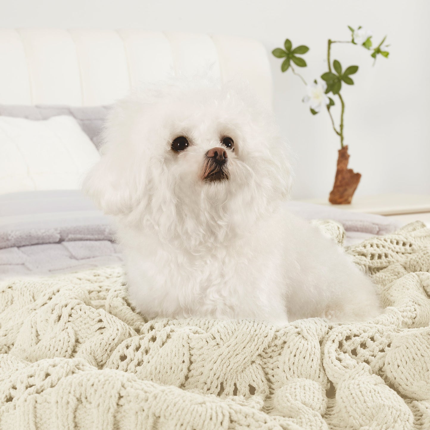 Small dog resting on Chenille Cable Knit Throw Blanket in Ivory, highlighting its soft and cozy feel. #color_Ivory