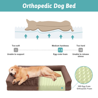 Orthopedic dog bed with a dog lying on it, showing foam hardness scale. #Color_Brown