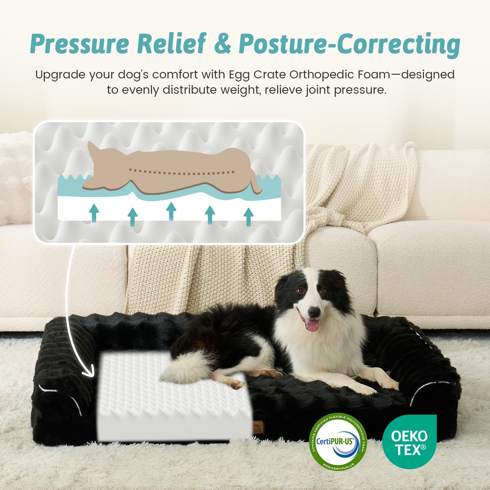 Dog lying on a pressure relief and posture-correcting egg crate orthopedic foam pad with CertiPUR-US and OEKO-TEX certification.#Color_Black
