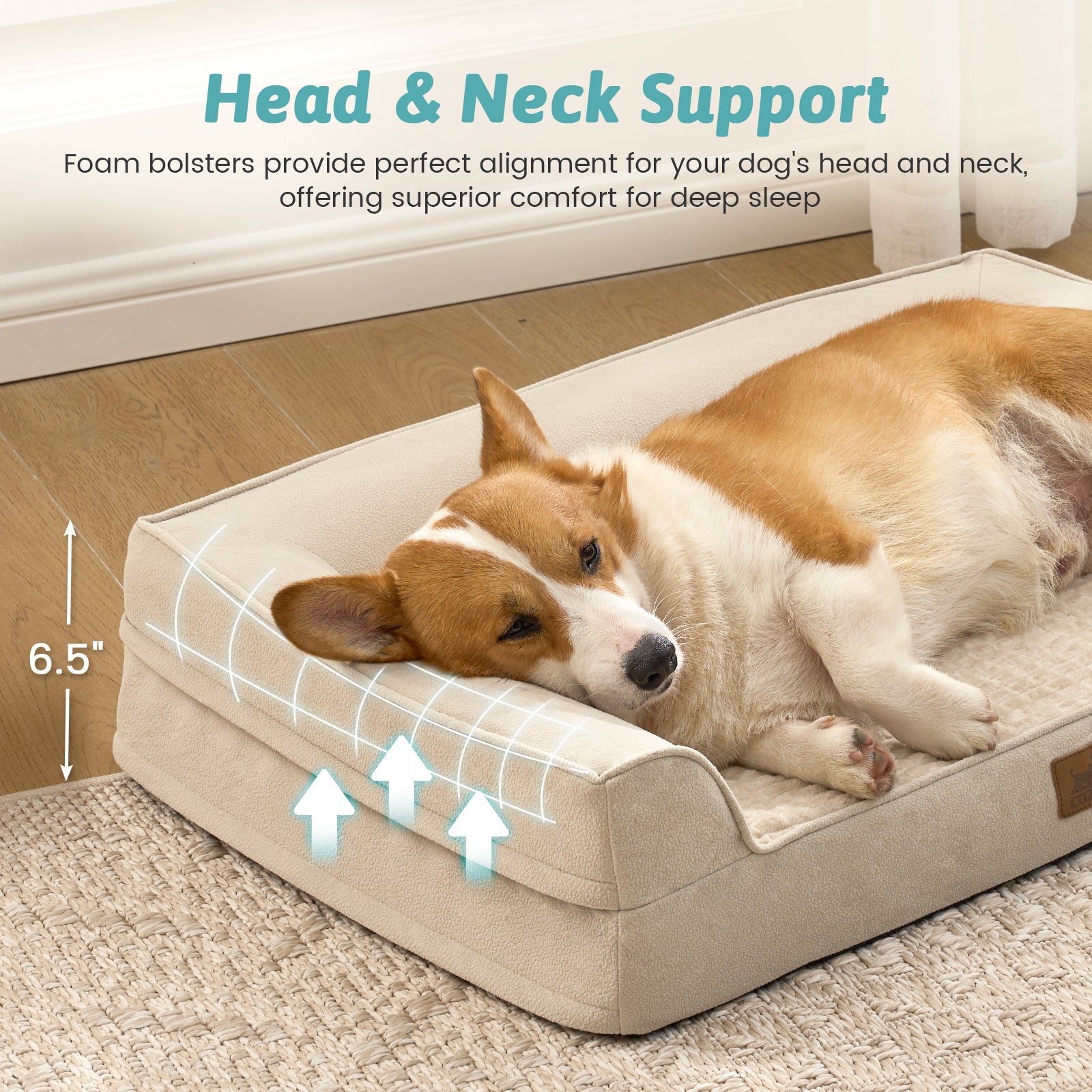 Dog lying on a Beige pet bed in a cozy living room. #Beige