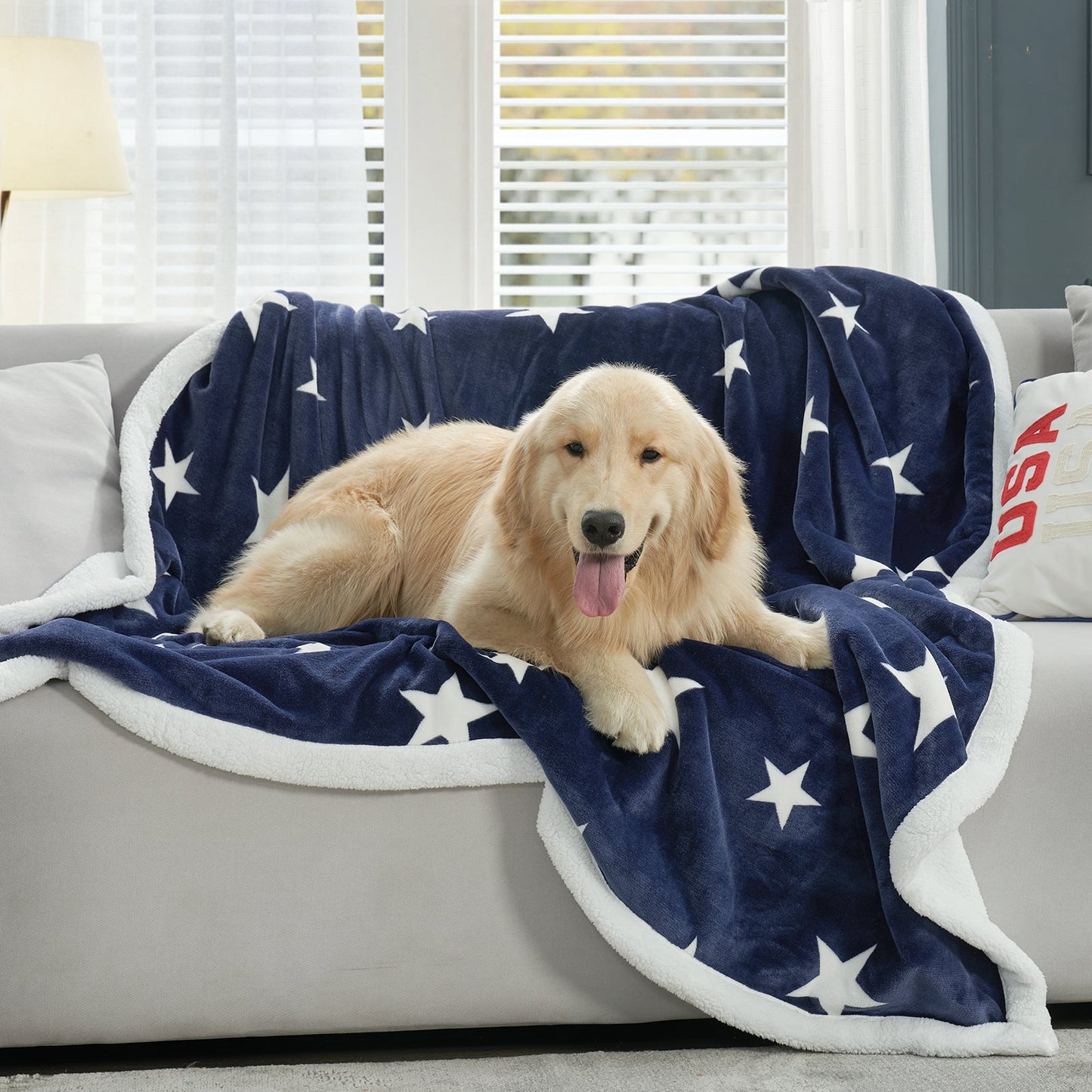 Dog resting on a navy blue star sherpa blanket in Navy Blue on a sofa, creating a relaxed and comfortable setting #color_Navy Blue