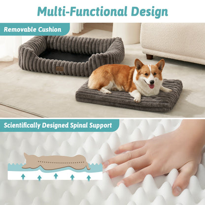 Dog lying on a cushioned pet bed with text highlighting its removable cushion and scientific spinal support.#color_Grey
