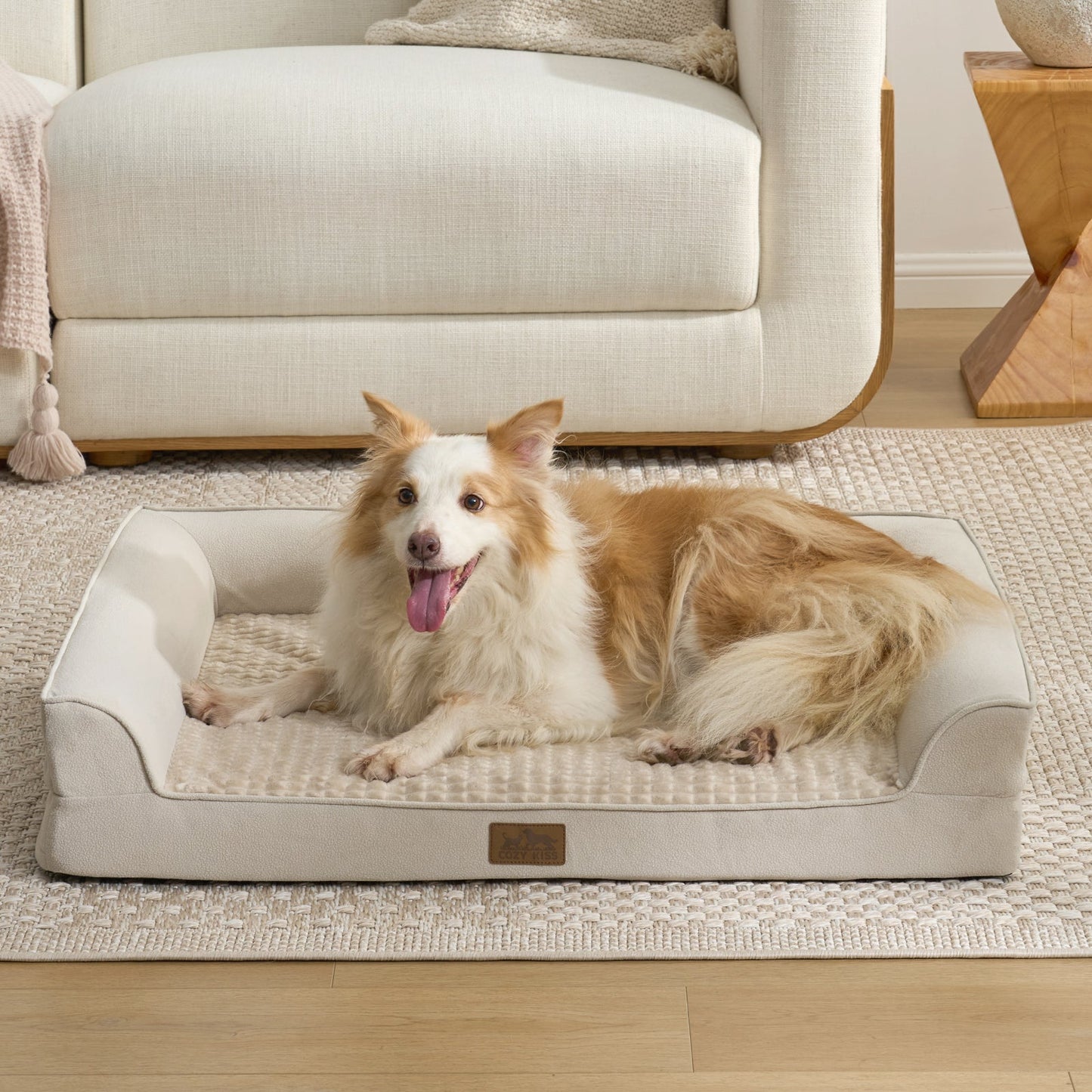 Cozy bliss pet bed front view. Dog lying on a Beige pet bed in a living room. #Beige