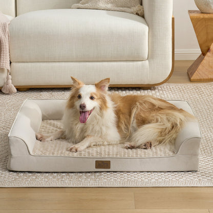 Cozy bliss pet bed front view. Dog lying on a Beige pet bed in a living room. #Beige