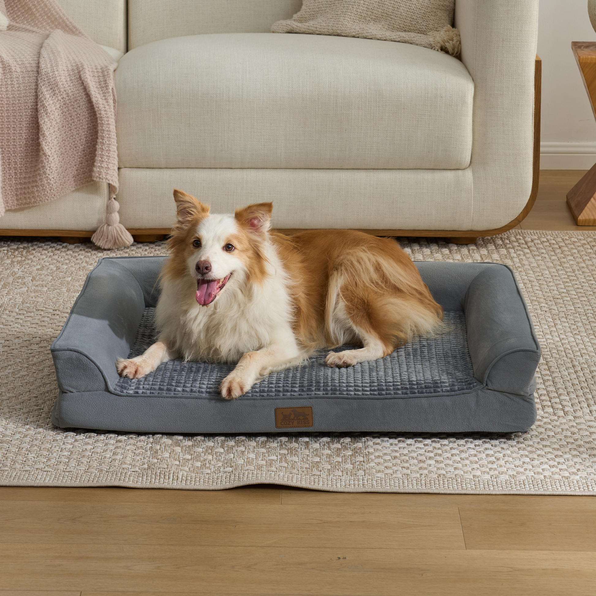Cozy bliss pet bed front view. Dog lying on a grey pet bed in a living room. #Color_Grey 