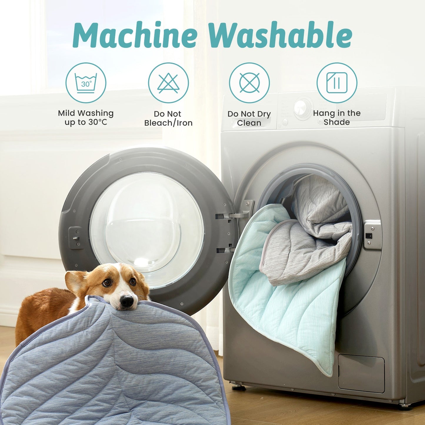 Dog holding a machine washable pet bed with washing machine in the background #color_Grey