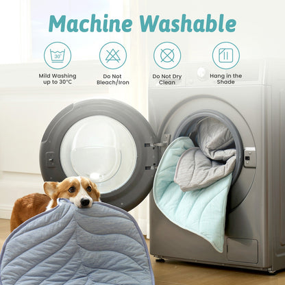 Dog holding a machine washable pet bed with washing machine in the background #color_Light Mint Green