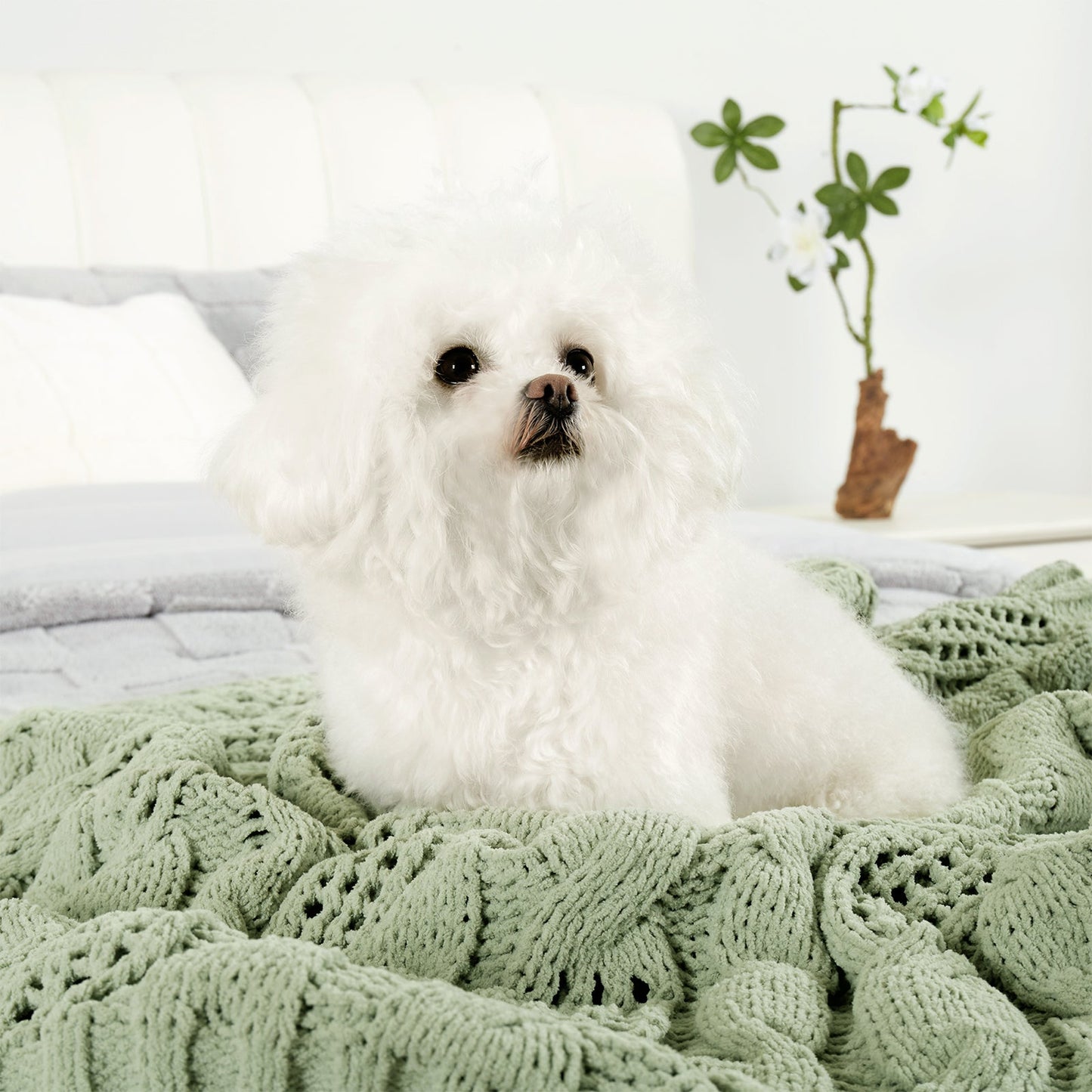 Small dog resting on Chenille Cable Knit Throw Blanket in Sage Green, highlighting soft texture and pet-friendly comfort. #color_Sage Green