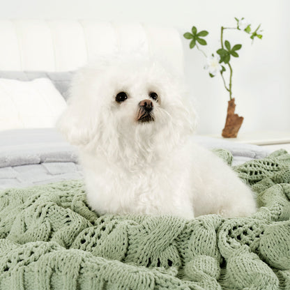 Small dog resting on Chenille Cable Knit Throw Blanket in Sage Green, highlighting soft texture and pet-friendly comfort. #color_Sage Green